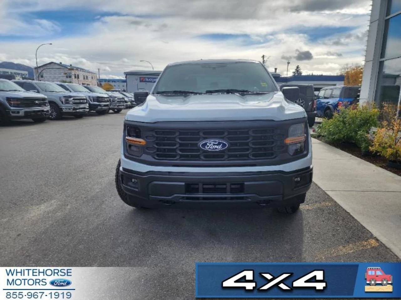 2024 Ford F-150 STX Main Image