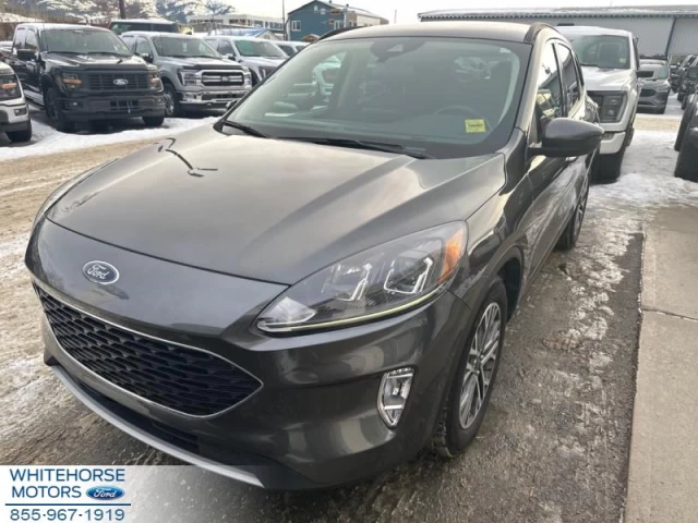 Ford Escape SEL 4WD 2020