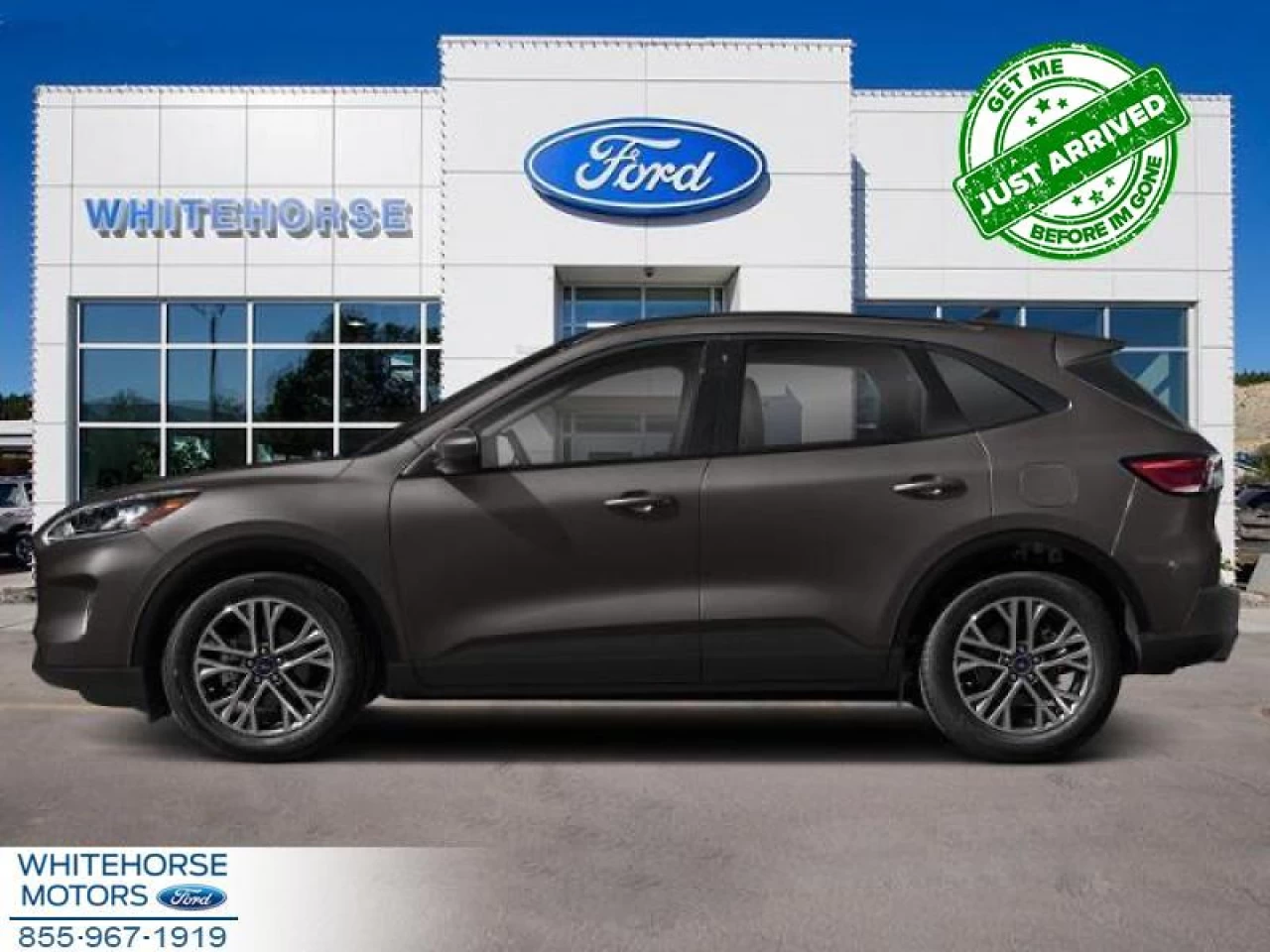 2020 Ford Escape SEL 4WD Image principale