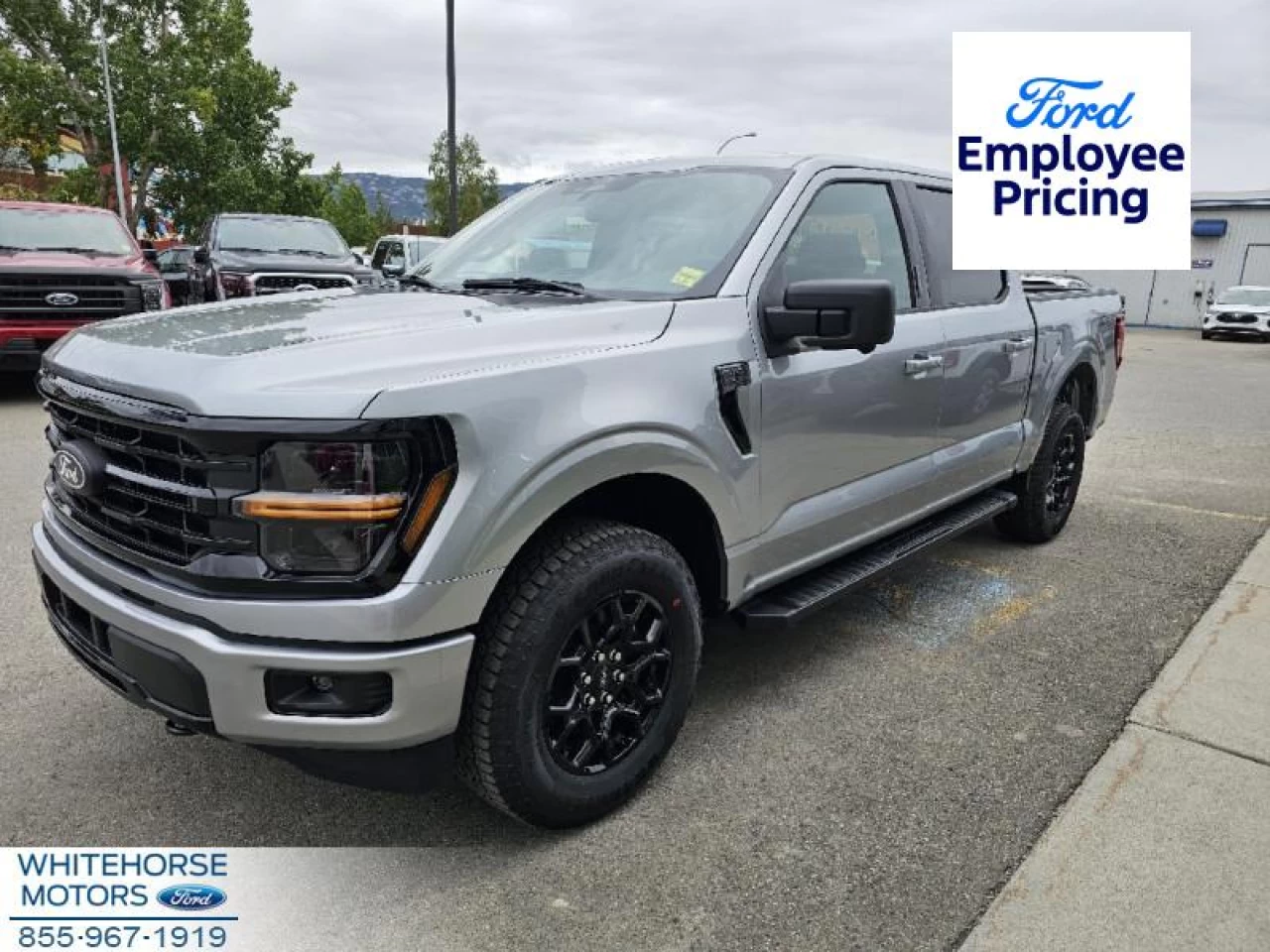 2024 Ford F-150 XLT Image principale