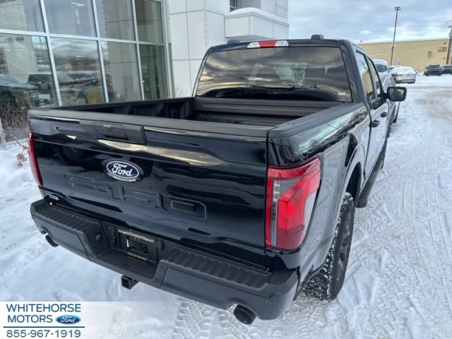 Ford F-150 STX 2024