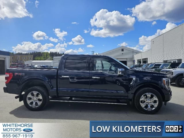 Ford F-150 Platinum 2023