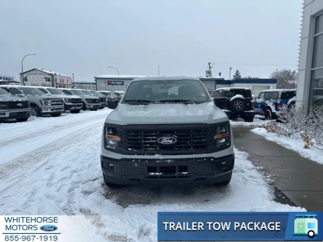 Ford F-150 STX 2024